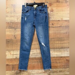 Democracy AbTechnology Distressed Skinny Blue Jeans Size 6